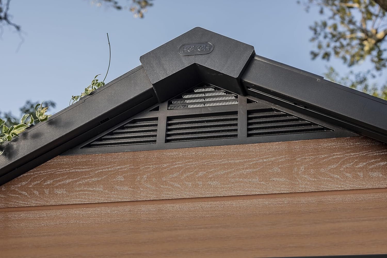 jrybnDAr0OD1CgmX77VjV79ZFxv200hg41ipYwFt